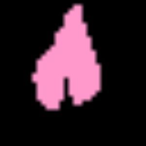 Meet your Posher, Ana